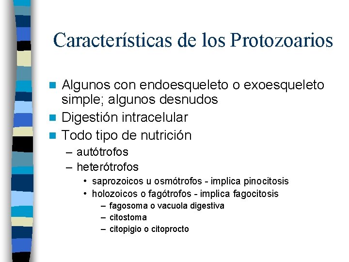 Características de los Protozoarios Algunos con endoesqueleto o exoesqueleto simple; algunos desnudos n Digestión