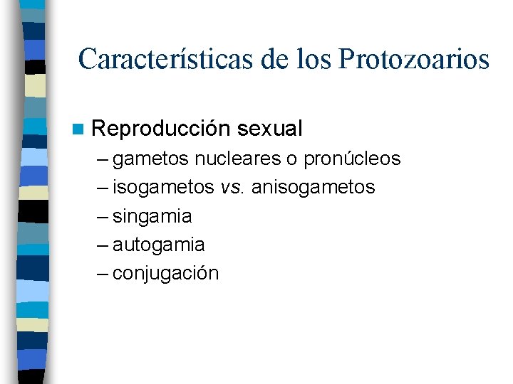 Características de los Protozoarios n Reproducción sexual – gametos nucleares o pronúcleos – isogametos