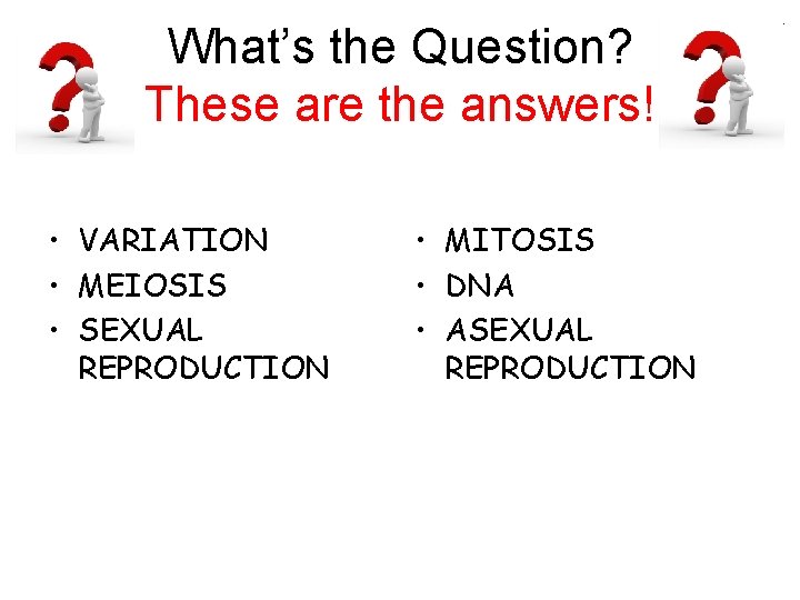 What’s the Question? These are the answers! • VARIATION • MEIOSIS • SEXUAL REPRODUCTION