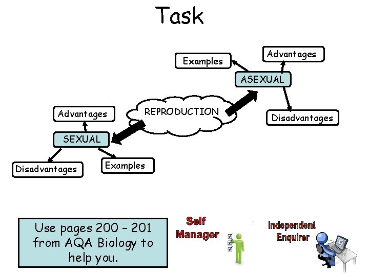 Task Examples Advantages ASEXUAL Advantages REPRODUCTION SEXUAL Disadvantages Examples Use pages 200 – 201