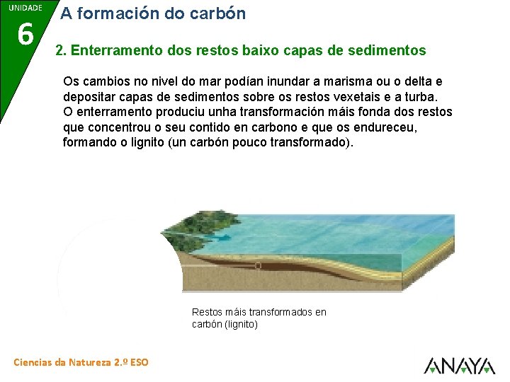 UNIDADE 6 A formación do carbón 2. Enterramento dos restos baixo capas de sedimentos