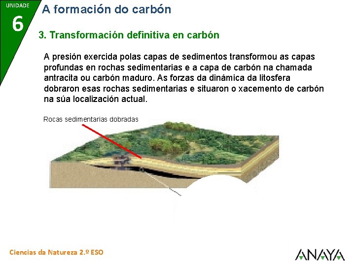UNIDADE 6 A formación do carbón 3. Transformación definitiva en carbón A presión exercida