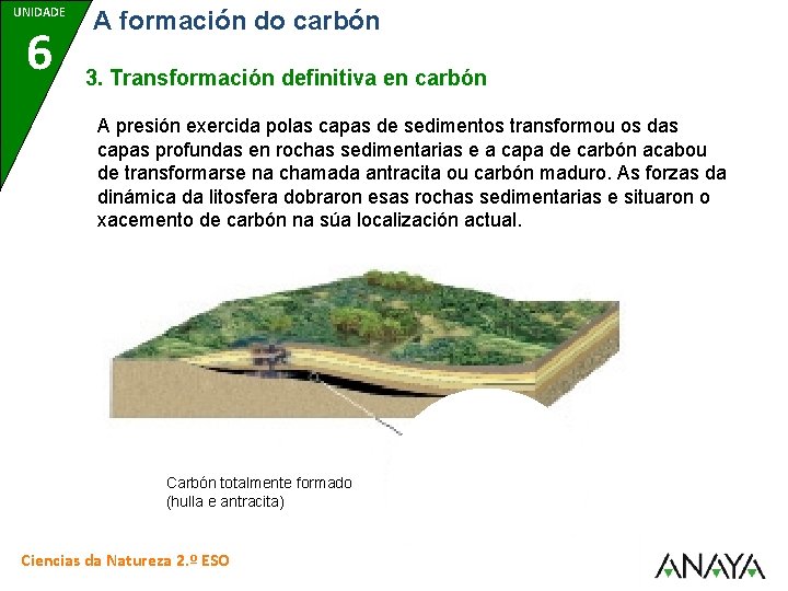 UNIDADE 6 A formación do carbón 3. Transformación definitiva en carbón A presión exercida