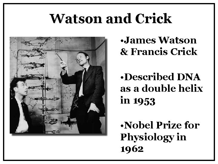 Watson and Crick • James Watson & Francis Crick • Described DNA as a