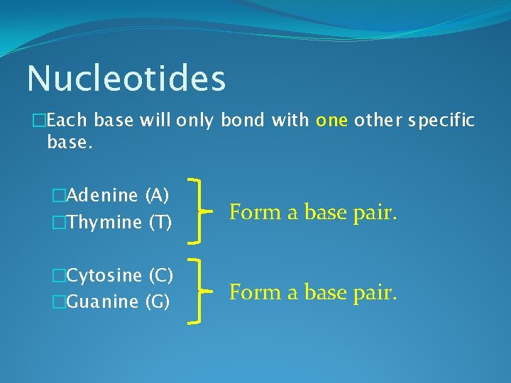 Nucleotides �Each base will only bond with one other specific base. �Adenine (A) �Thymine