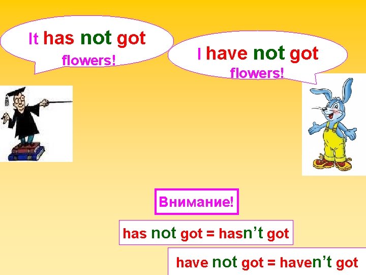 It has not got flowers! I have not got flowers! Внимание! has not got