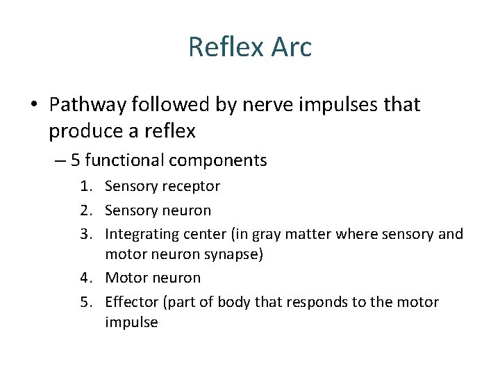 Reflex Arc • Pathway followed by nerve impulses that produce a reflex – 5 Reflex Arc • Pathway followed by nerve impulses that produce a reflex – 5