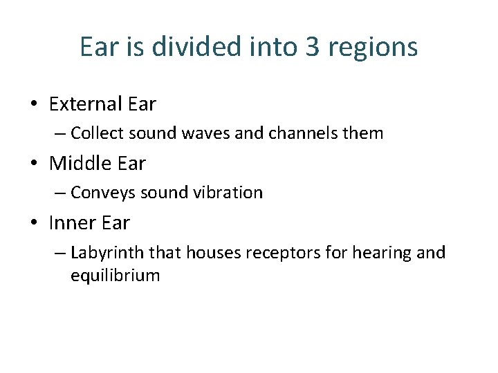 Ear is divided into 3 regions • External Ear – Collect sound waves and Ear is divided into 3 regions • External Ear – Collect sound waves and