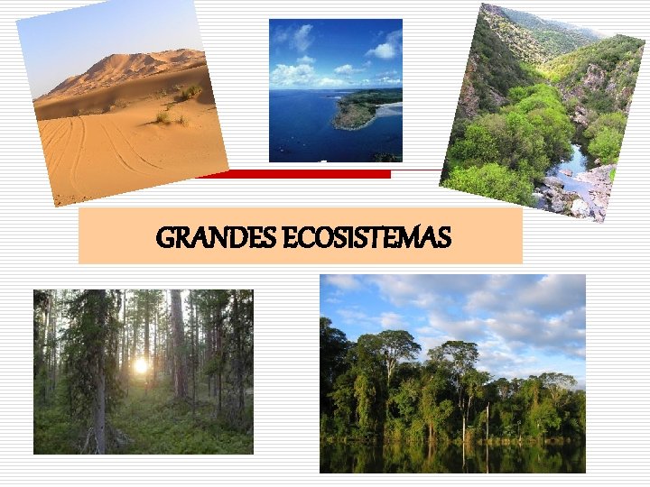 GRANDES ECOSISTEMAS 