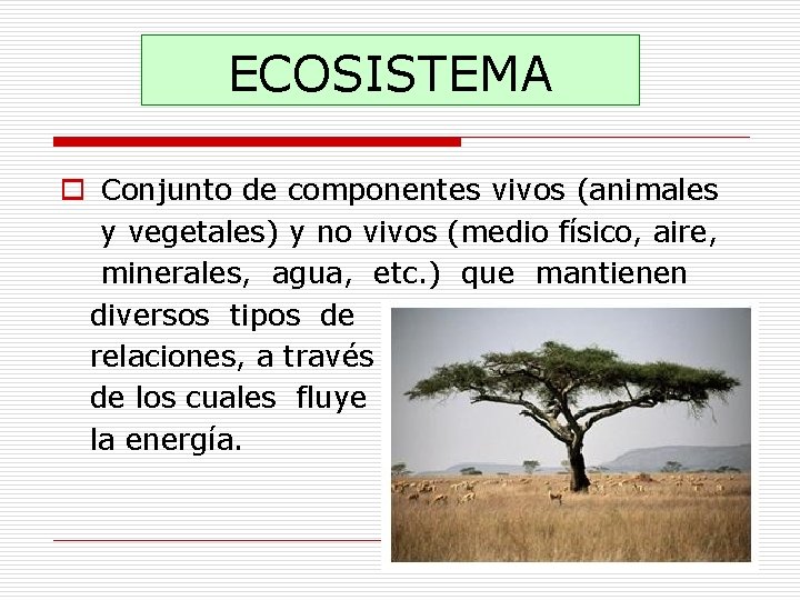 ECOSISTEMA o Conjunto de componentes vivos (animales y vegetales) y no vivos (medio físico,