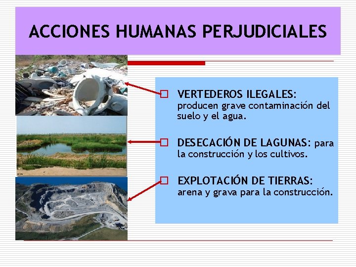 ACCIONES HUMANAS PERJUDICIALES o VERTEDEROS ILEGALES: producen grave contaminación del suelo y el agua.