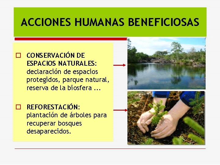 ACCIONES HUMANAS BENEFICIOSAS o CONSERVACIÓN DE ESPACIOS NATURALES: declaración de espacios protegidos, parque natural,