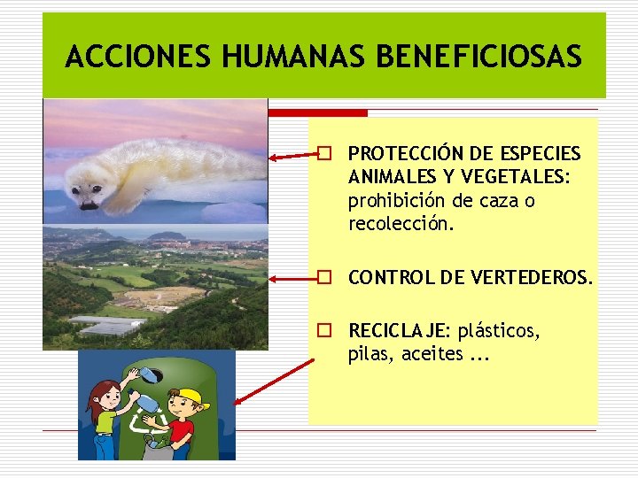 ACCIONES HUMANAS BENEFICIOSAS o PROTECCIÓN DE ESPECIES ANIMALES Y VEGETALES: prohibición de caza o