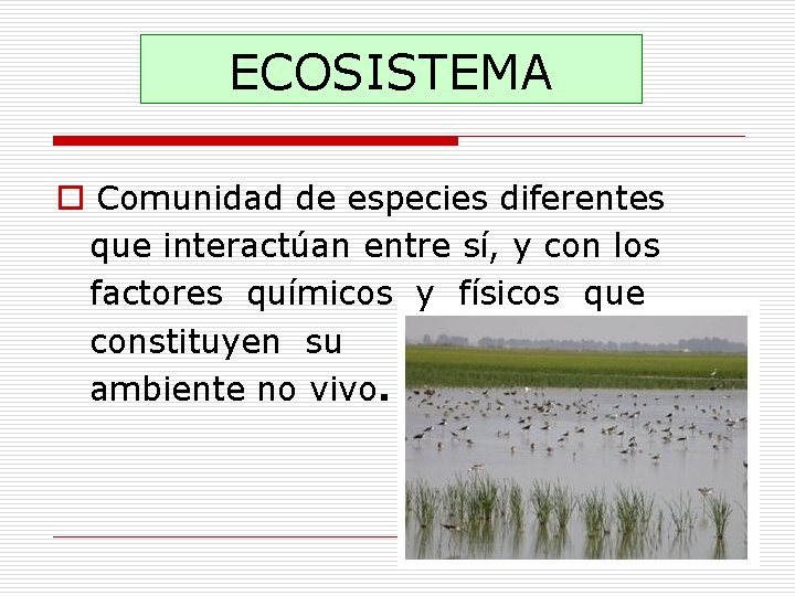 ECOSISTEMA o Comunidad de especies diferentes que interactúan entre sí, y con los factores