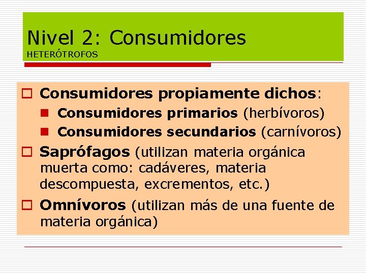 Nivel 2: Consumidores HETERÓTROFOS o Consumidores propiamente dichos: n Consumidores primarios (herbívoros) n Consumidores