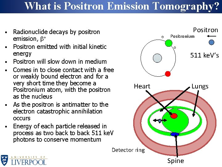What is Positron Emission Tomography? § § § Radionuclide decays by positron emission, b+