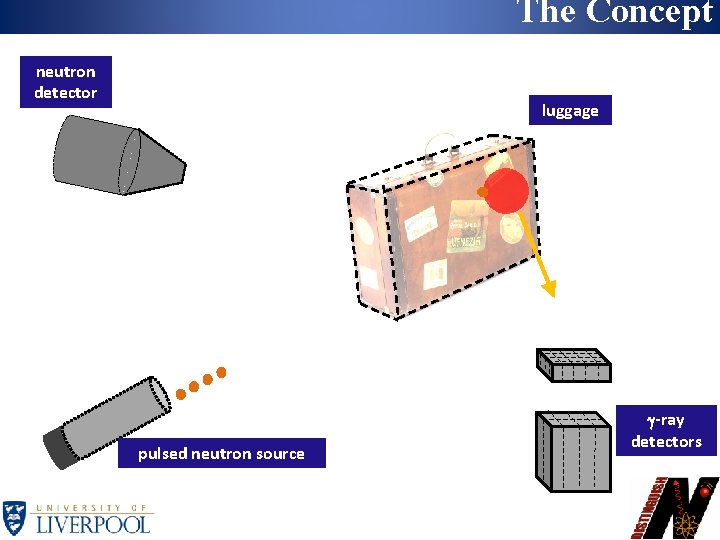 The Concept neutron DISTINGUISH (PFNA) detector pulsed neutron source luggage g-ray detectors 