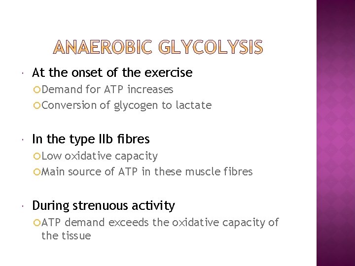  At the onset of the exercise Demand for ATP increases Conversion of glycogen