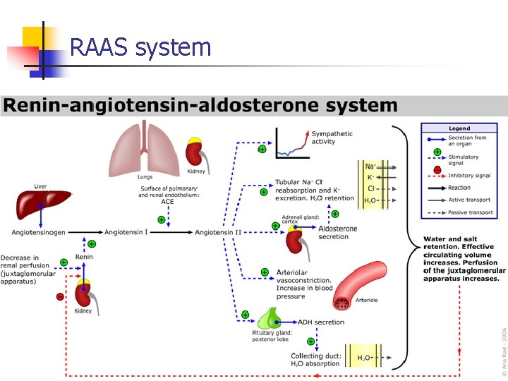 RAAS system 23 