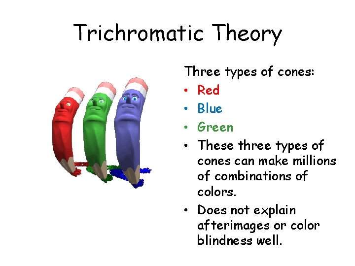 Trichromatic Theory Three types of cones: • Red • Blue • Green • These