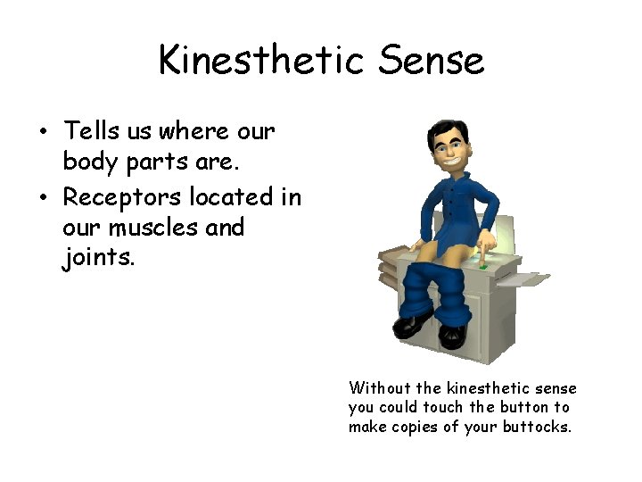 Kinesthetic Sense • Tells us where our body parts are. • Receptors located in