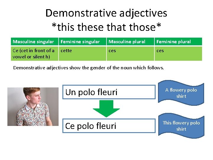Demonstrative adjectives *this these that those* Masculine singular Feminine singular Masculine plural Feminine plural