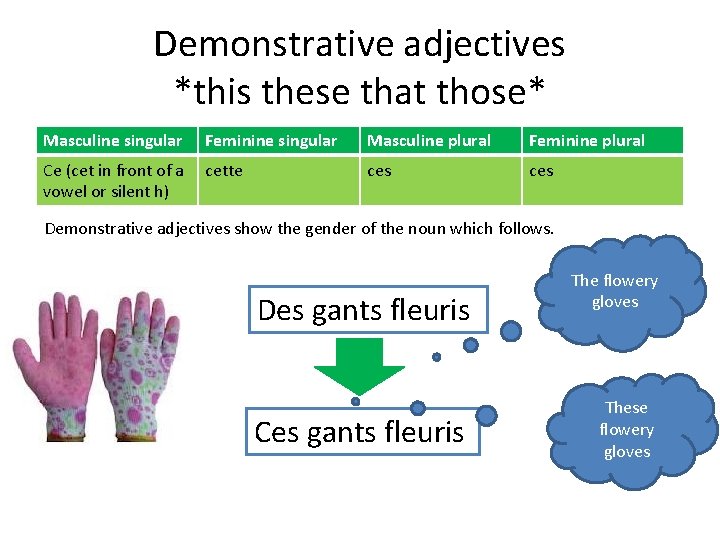 Demonstrative adjectives *this these that those* Masculine singular Feminine singular Masculine plural Feminine plural