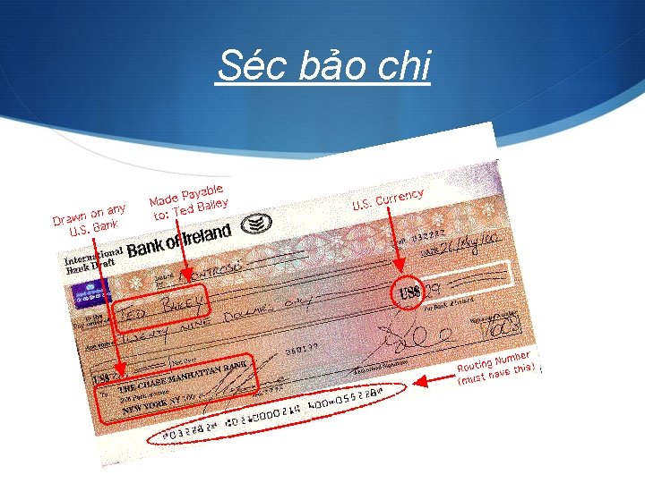 Séc bảo chi 