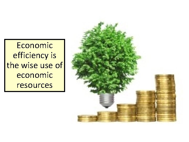 Economic efficiency is the wise use of economic resources 