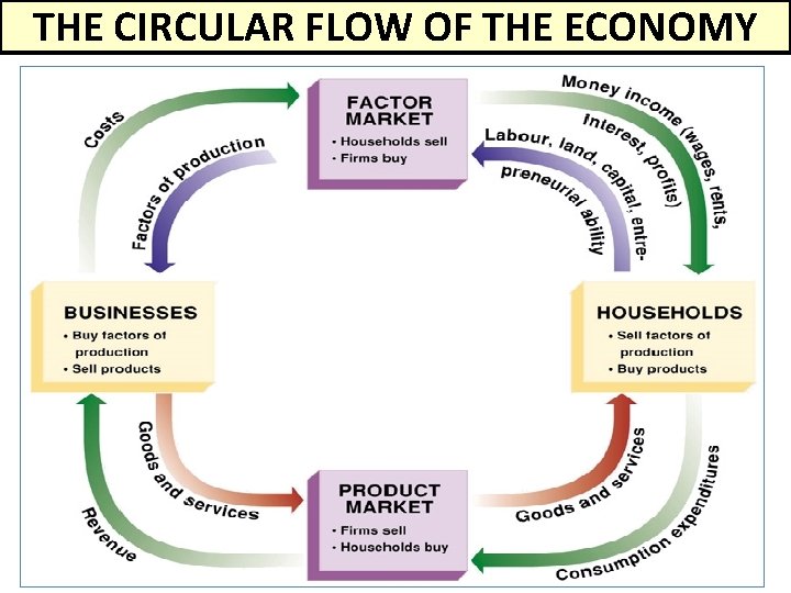 THE CIRCULAR FLOW OF THE ECONOMY 