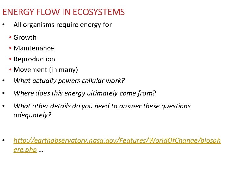 ENERGY FLOW IN ECOSYSTEMS • All organisms require energy for • Growth • Maintenance ENERGY FLOW IN ECOSYSTEMS • All organisms require energy for • Growth • Maintenance