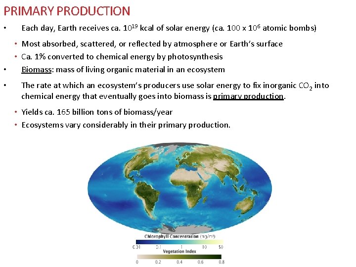 PRIMARY PRODUCTION • Each day, Earth receives ca. 1019 kcal of solar energy (ca. PRIMARY PRODUCTION • Each day, Earth receives ca. 1019 kcal of solar energy (ca.