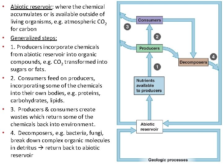 • Abiotic reservoir: where the chemical accumulates or is available outside of living • Abiotic reservoir: where the chemical accumulates or is available outside of living