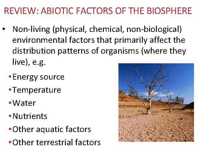 REVIEW: ABIOTIC FACTORS OF THE BIOSPHERE • Non-living (physical, chemical, non-biological) environmental factors that REVIEW: ABIOTIC FACTORS OF THE BIOSPHERE • Non-living (physical, chemical, non-biological) environmental factors that