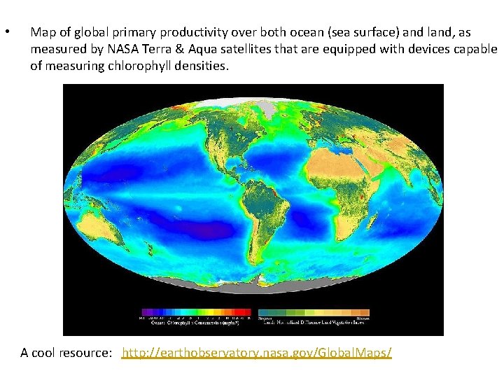 • Map of global primary productivity over both ocean (sea surface) and land, • Map of global primary productivity over both ocean (sea surface) and land,