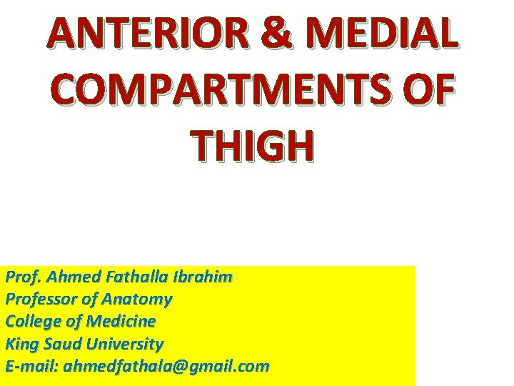 ANTERIOR & MEDIAL COMPARTMENTS OF THIGH Prof. Ahmed Fathalla Ibrahim Professor of Anatomy College