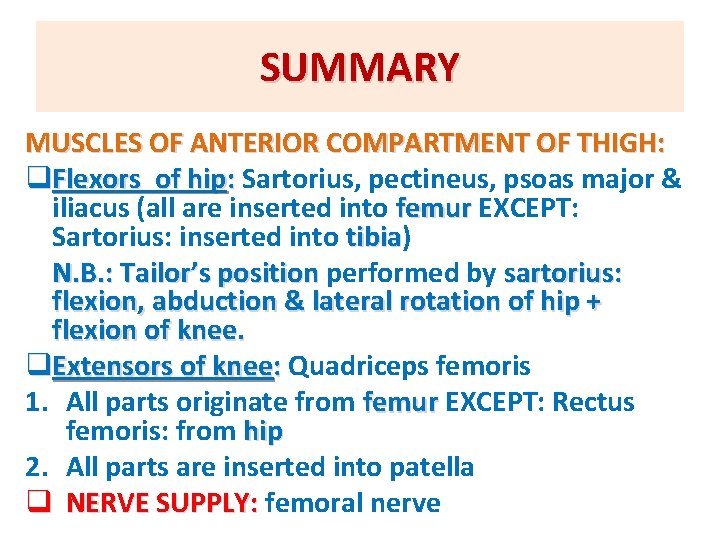 SUMMARY MUSCLES OF ANTERIOR COMPARTMENT OF THIGH: q. Flexors of hip: Sartorius, pectineus, psoas