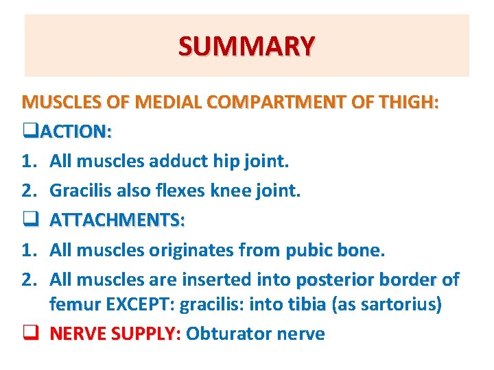 SUMMARY MUSCLES OF MEDIAL COMPARTMENT OF THIGH: q. ACTION: 1. All muscles adduct hip