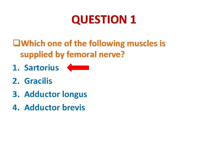 QUESTION 1 q. Which one of the following muscles is supplied by femoral nerve?