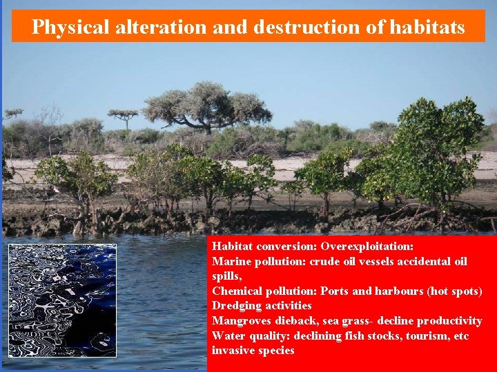 Physical alteration and destruction of habitats Habitat conversion: Overexploitation: Marine pollution: crude oil vessels