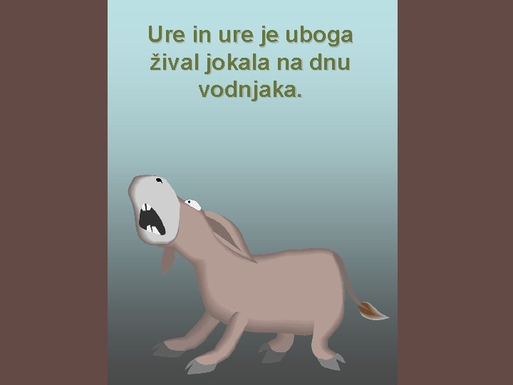 Ure in ure je uboga žival jokala na dnu vodnjaka. 