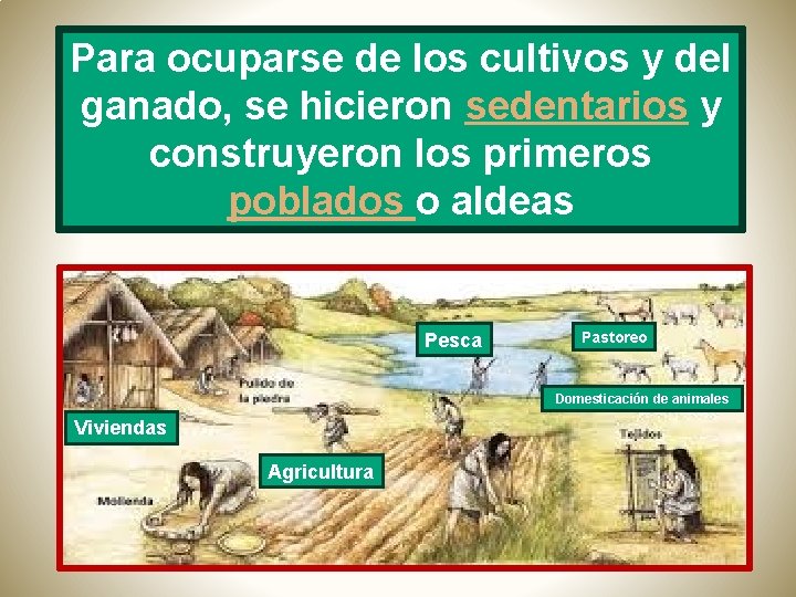 Para ocuparse de los cultivos y del ganado, se hicieron sedentarios y construyeron los