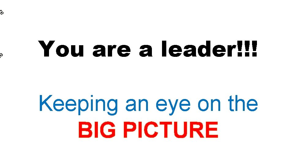 You are a leader!!! Keeping an eye on the BIG PICTURE You are a leader!!! Keeping an eye on the BIG PICTURE