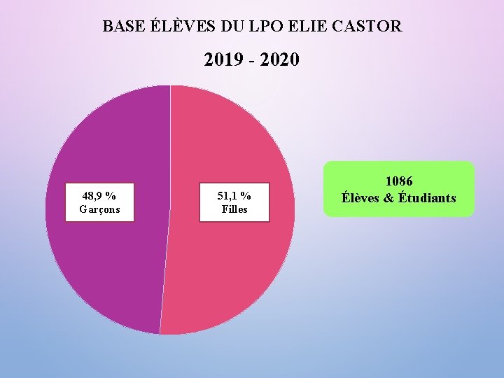 BASE ÉLÈVES DU LPO ELIE CASTOR 2019 - 2020 48, 9 % Garçons 51,
