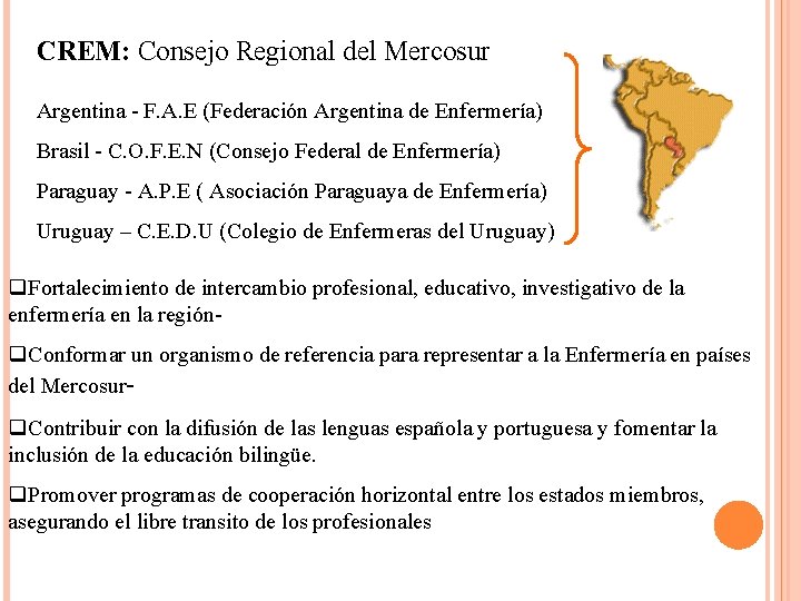 CREM: Consejo Regional del Mercosur Argentina - F. A. E (Federación Argentina de Enfermería)