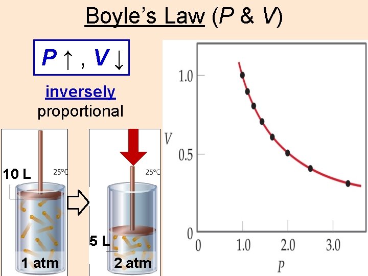 Boyle’s Law (P & V) P↑, V↓ inversely proportional 10 L 5 L 1