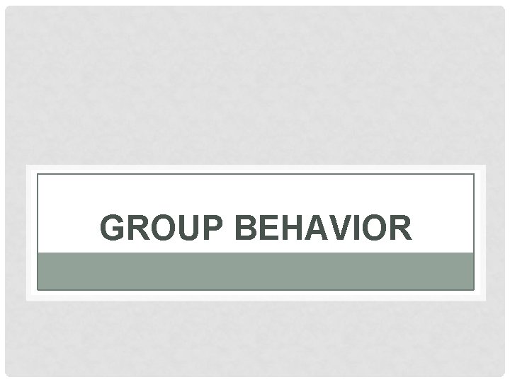 GROUP BEHAVIOR 