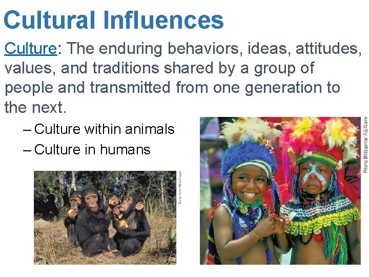 Cultural Influences Culture: The enduring behaviors, ideas, attitudes, values, and traditions shared by a