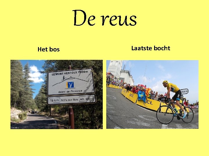 De reus Het bos Laatste bocht 