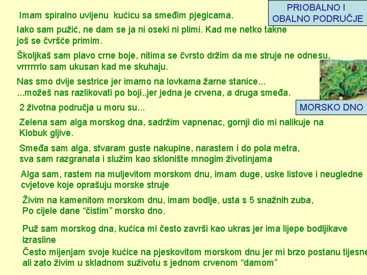 PRIOBALNO I OBALNO PODRUČJE Iako sam pužić, ne dam se ja ni oseki ni